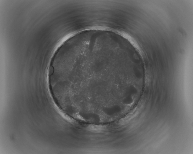 X0000112071237200908251036