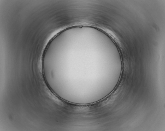 X0000112071238200908251036
