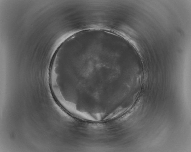 X0000112071239200908251036