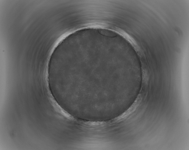 X0000112071240200908251036