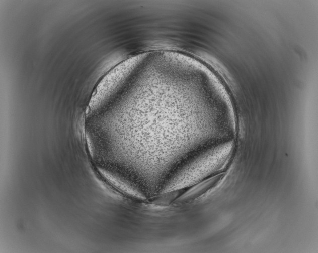 X0000112071241200908251036