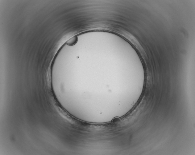 X0000112071242200908251036