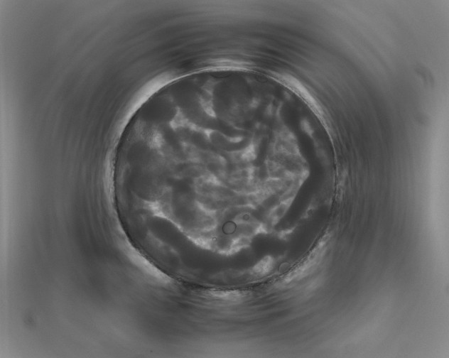 X0000112071243200908251036
