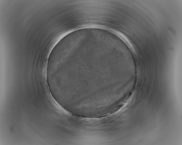 X0000112071244200908251036