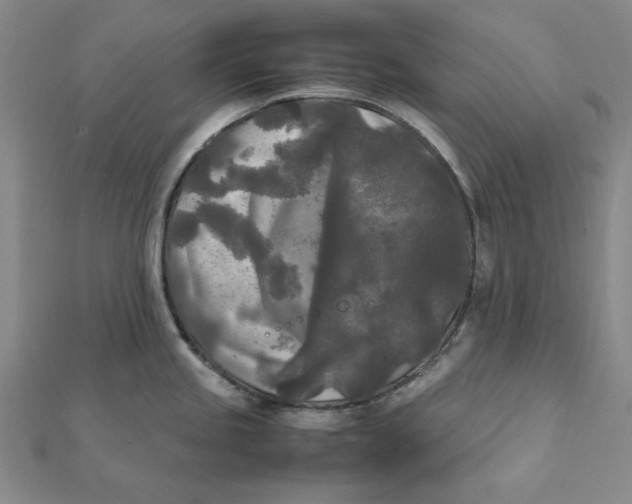 X0000112071245200908251036