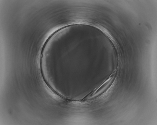 X0000112071246200908251036