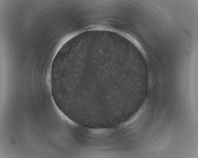 X0000112071247200908251036
