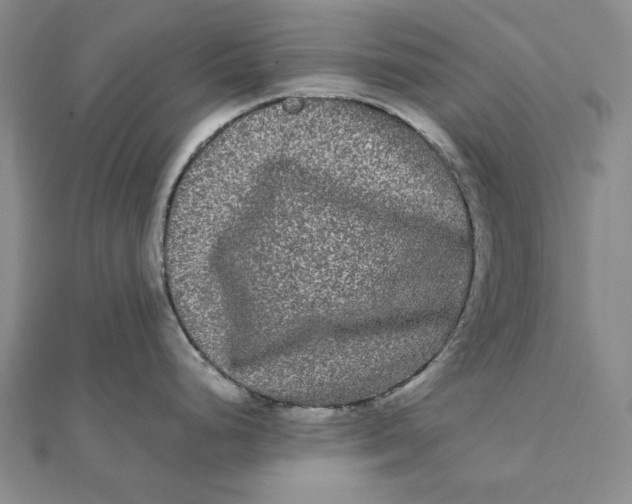 X0000112071248200908251036