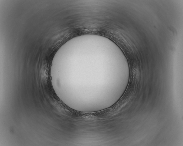 X0000112071250200908251035