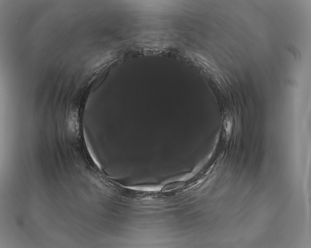 X0000112071252200908251035