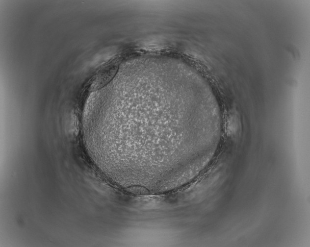 X0000112071253200908251035