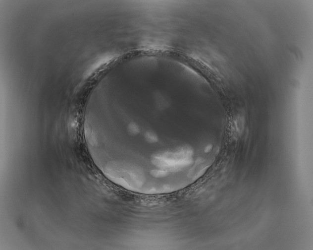 X0000112071254200908251035