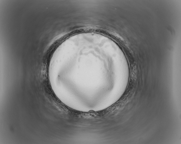 X0000112071255200908251035