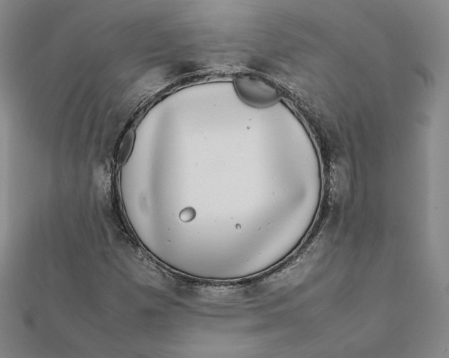 X0000112071257200908251035