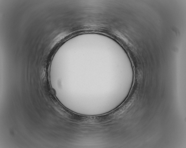 X0000112071259200908251035