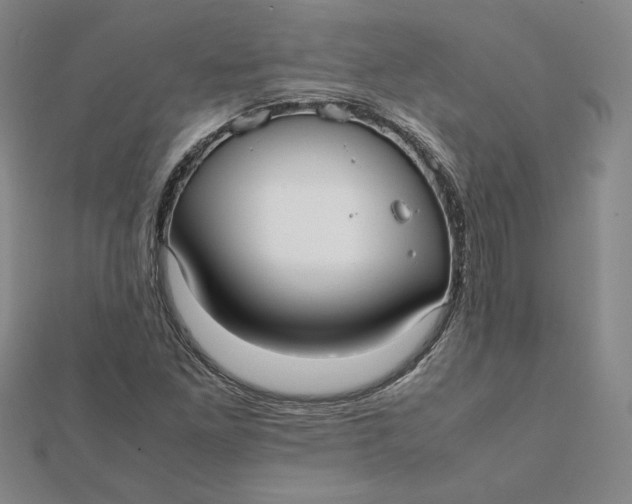 X0000112071261200908251035