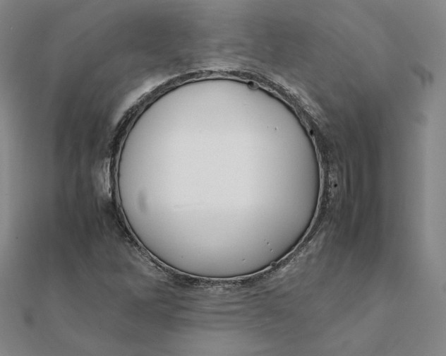 X0000112071262200908251035