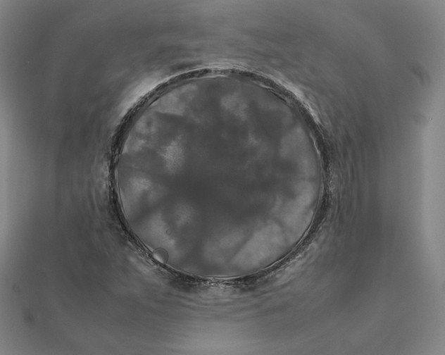 X0000112071263200908251035