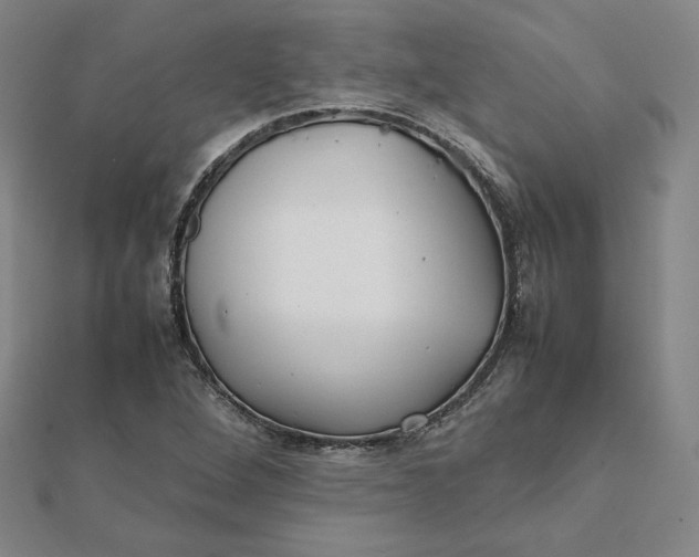 X0000112071264200908251035