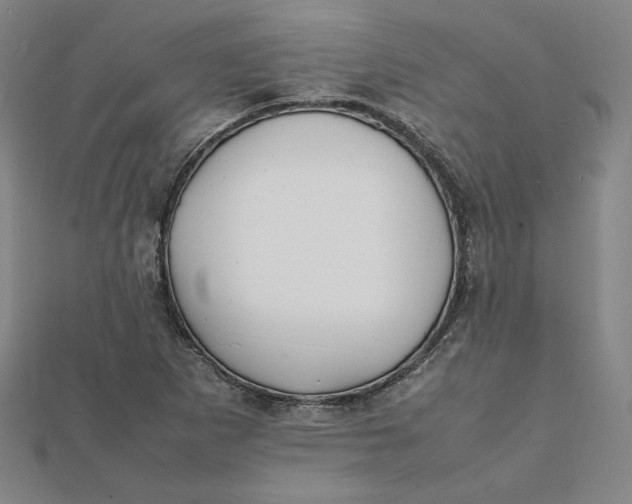 X0000112071265200908251035