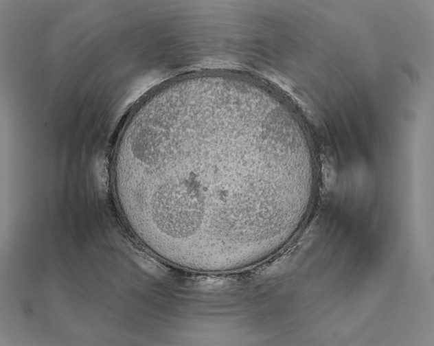 X0000112071266200908251035