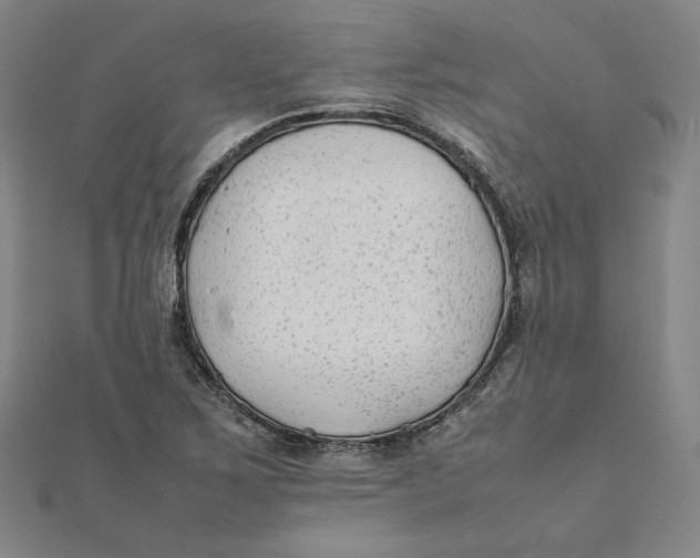 X0000112071267200908251035