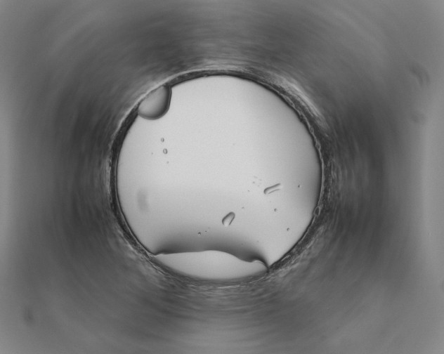 X0000112071268200908251035