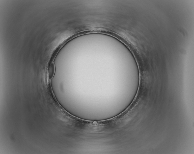 X0000112071269200908251035