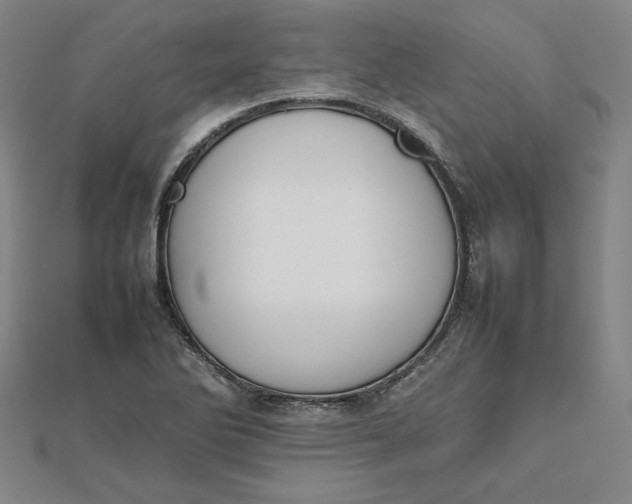 X0000112071270200908251035