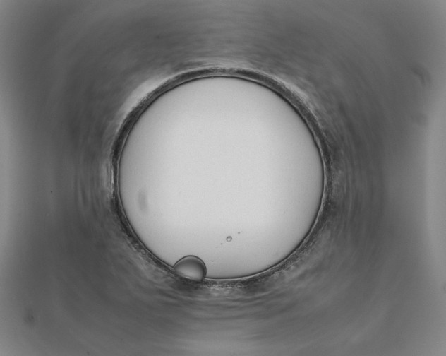 X0000112071271200908251035