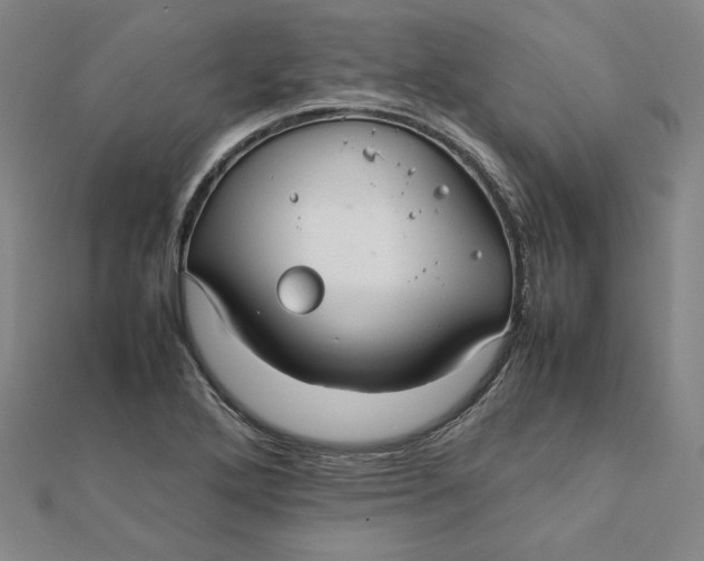 X0000112071272200908251035