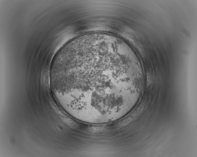 X0000112071274200908251035