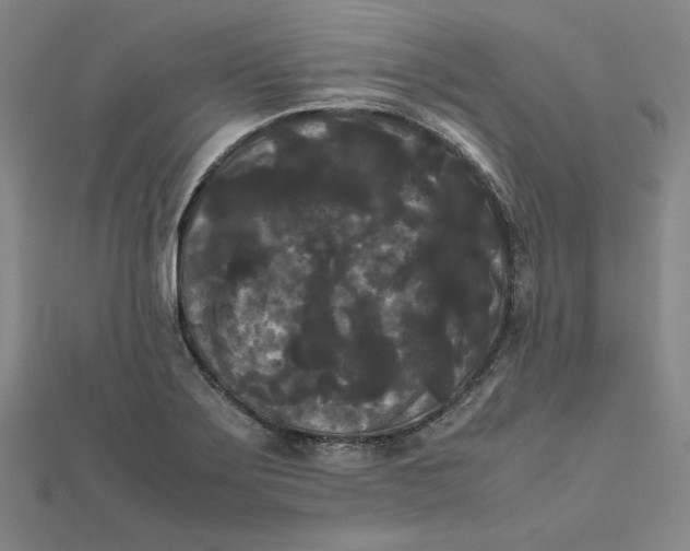 X0000112071275200908251035