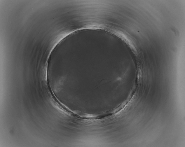 X0000112071276200908251035