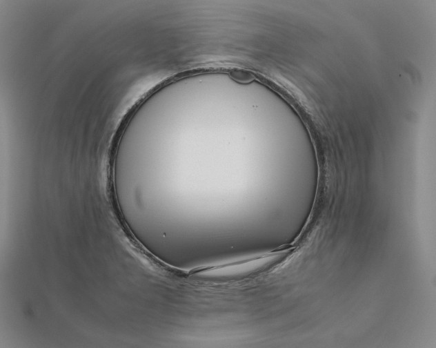 X0000112071277200908251035