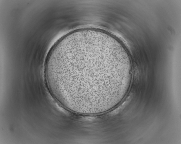X0000112071278200908251035