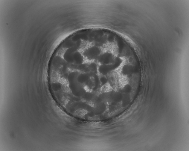 X0000112071279200908251035