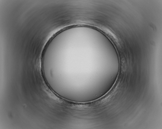X0000112071280200908251035