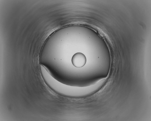 X0000112071281200908251035