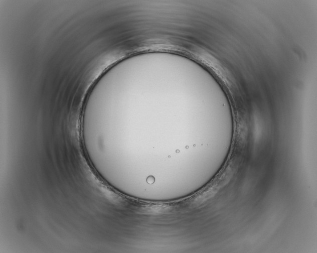 X0000112071282200908251035