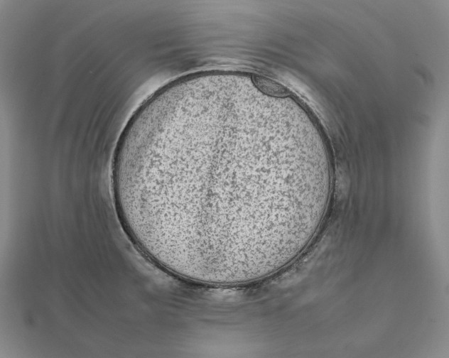 X0000112071283200908251035