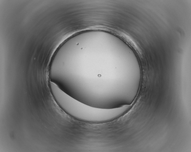 X0000112071284200908251035
