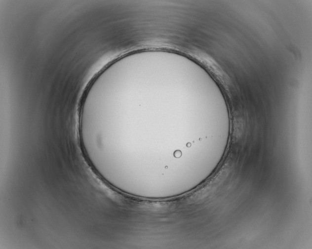 X0000112071286200908251034