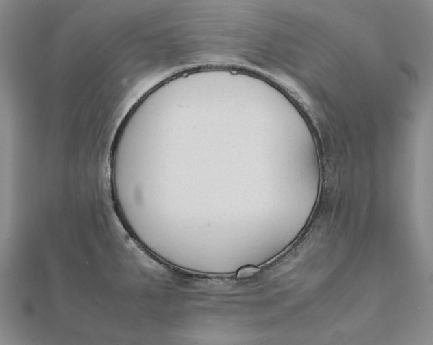 X0000112071287200908251034