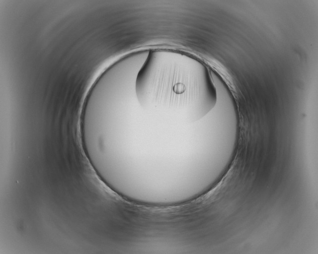 X0000112071288200908251034