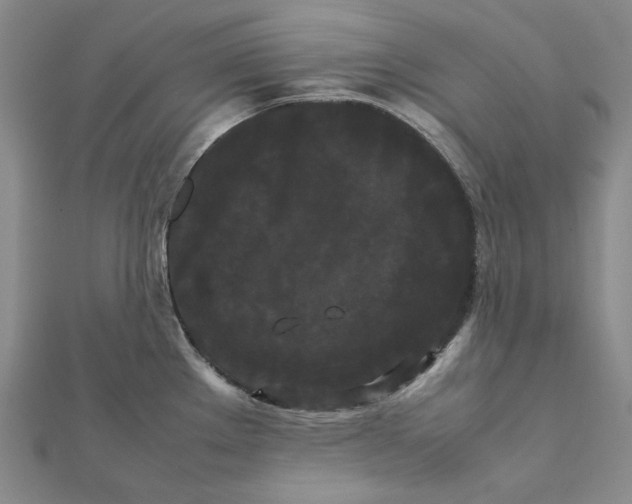 X0000112071289200908251034