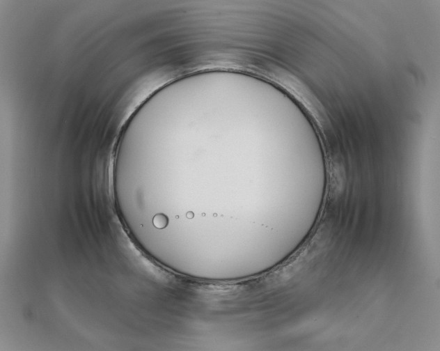 X0000112071290200908251034