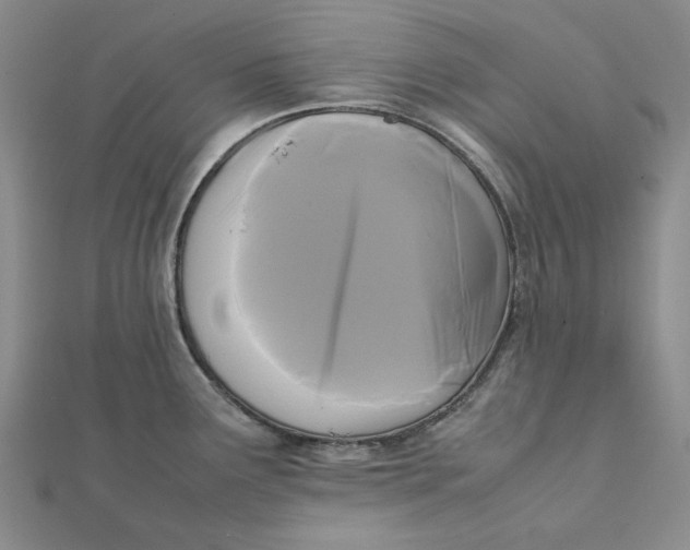 X0000112071291200908251034