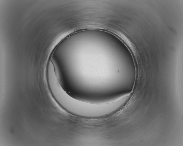 X0000112071293200908251034