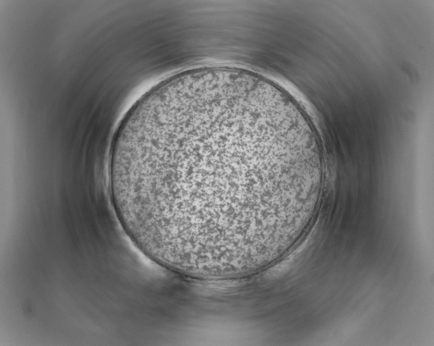 X0000112071294200908251034